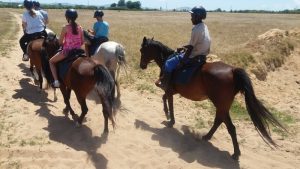 Horse Riding Stellenbosch